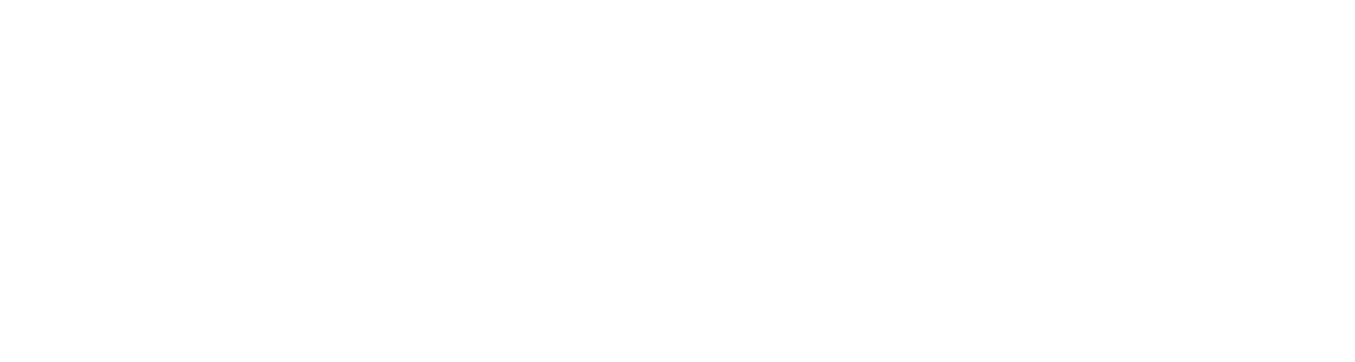 Kontrol Visual